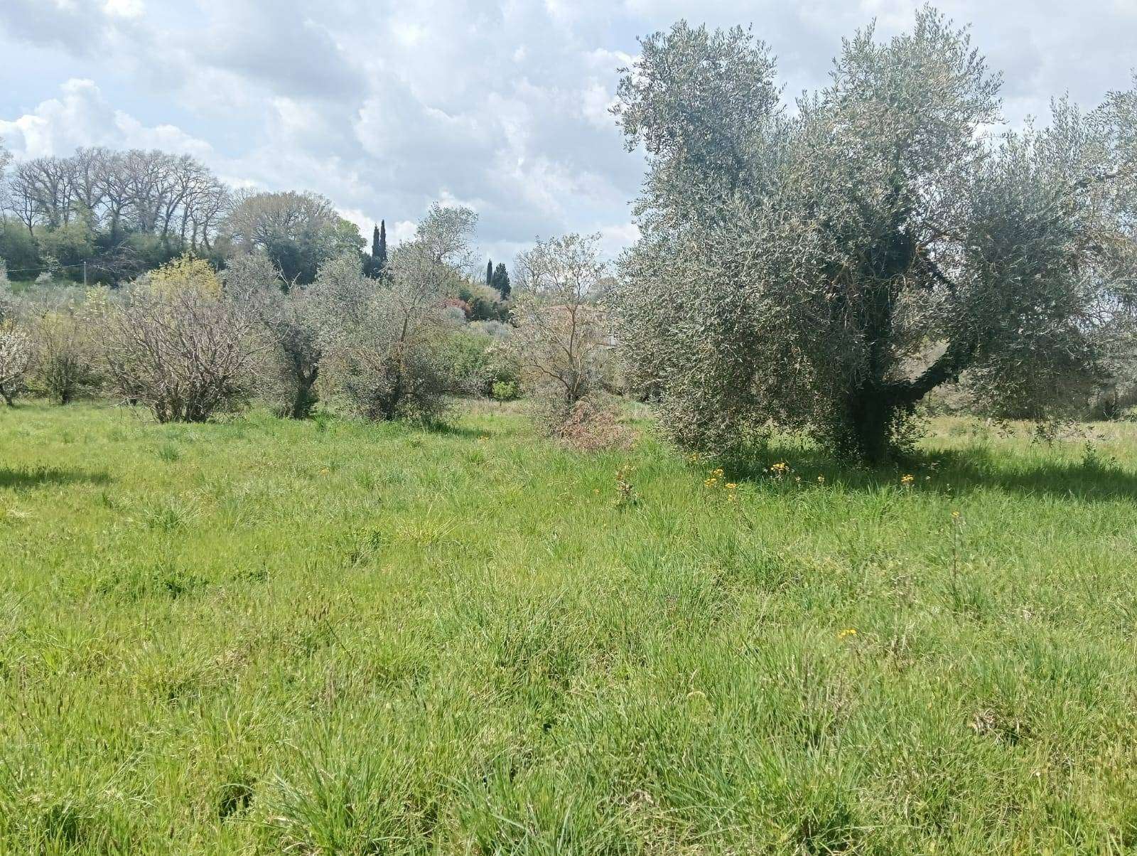  - foto 4