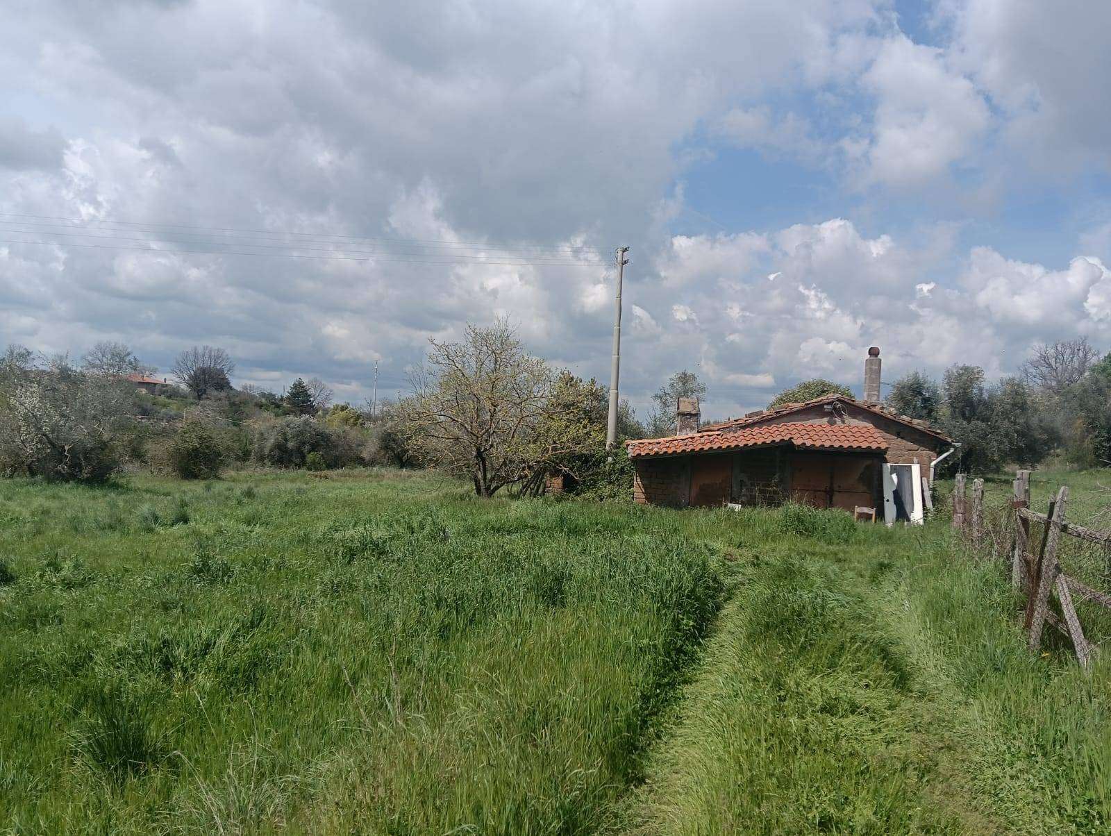  - foto 5