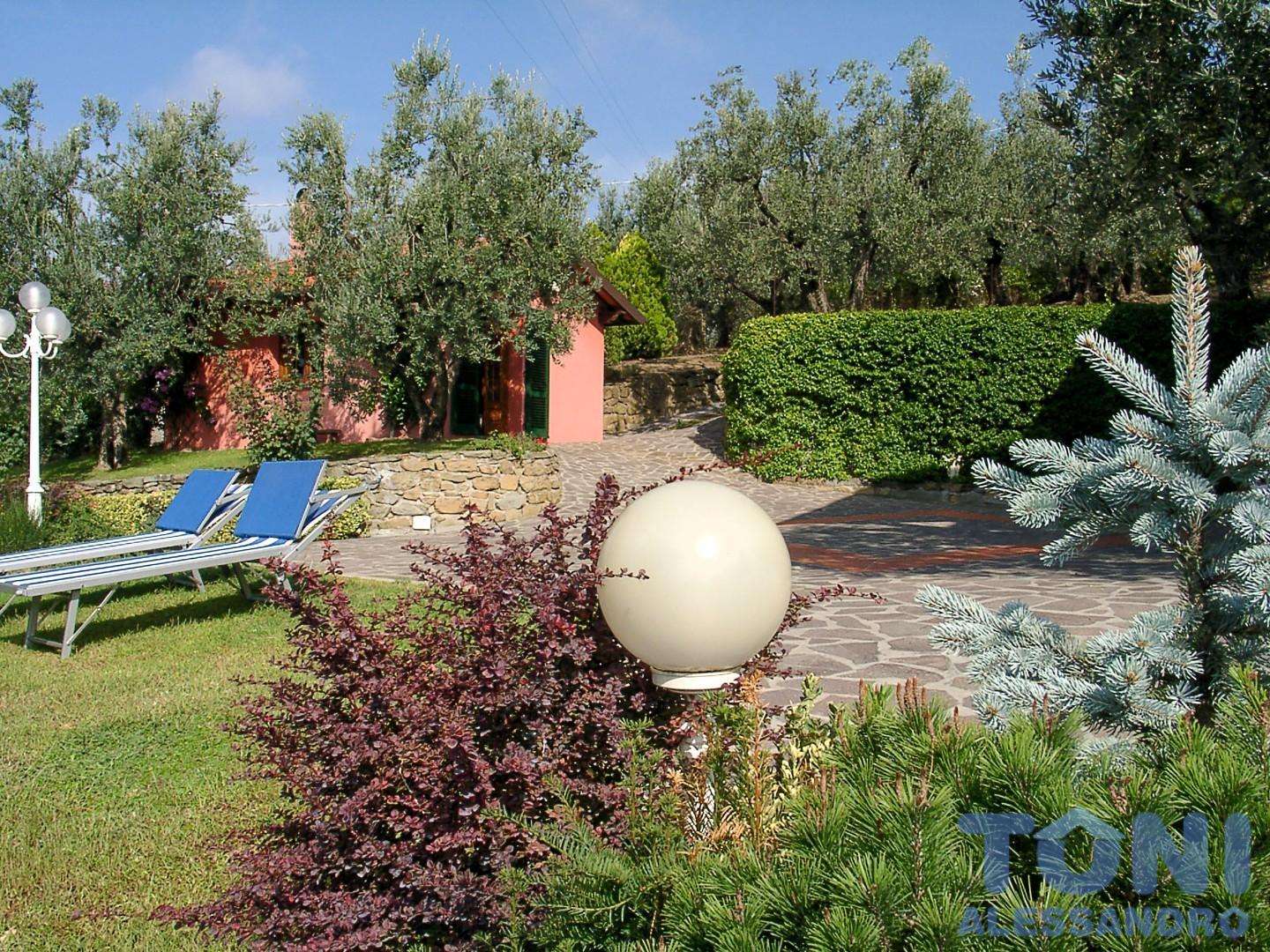  - foto 5