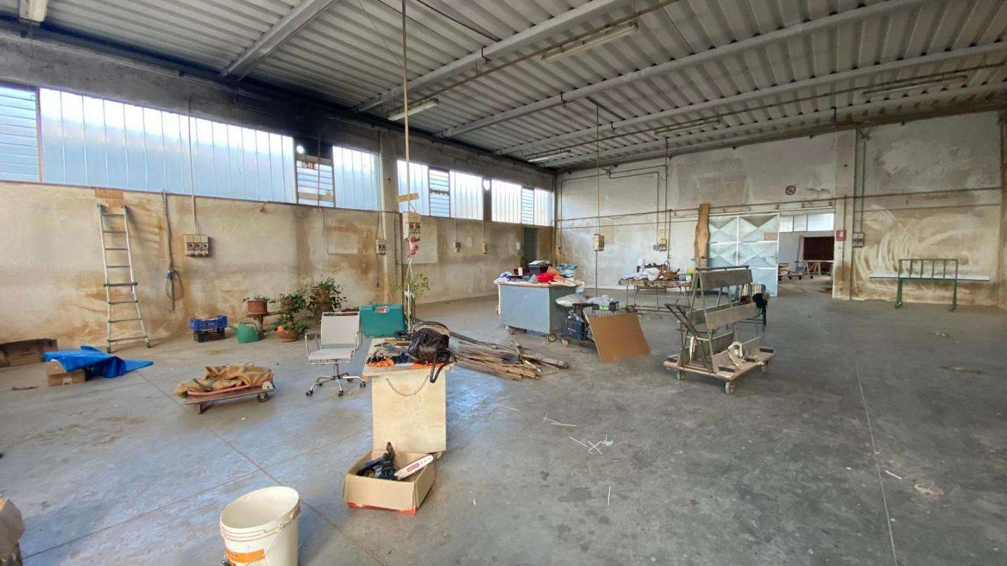 immagine annuncio 3 di 8