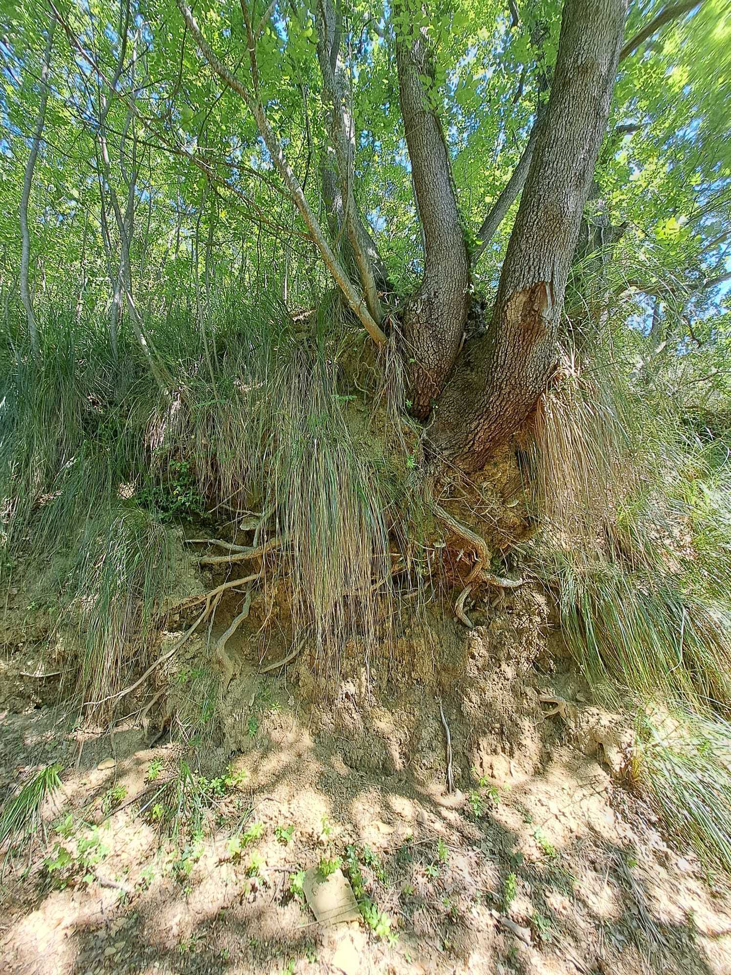  - foto 11
