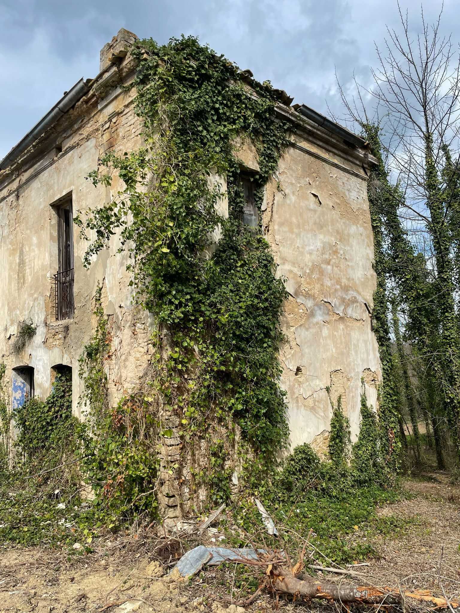  - foto 43