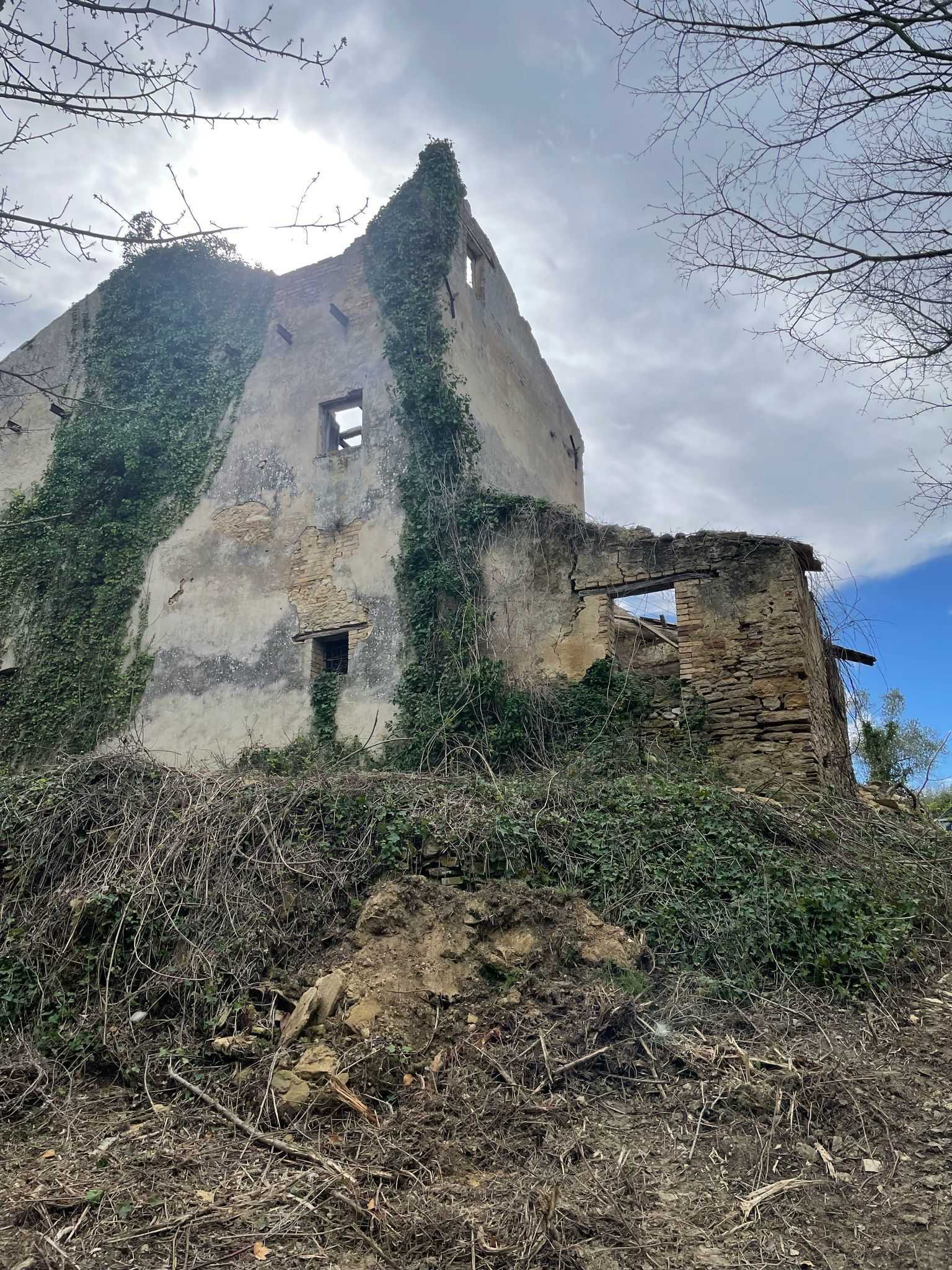 - foto 54