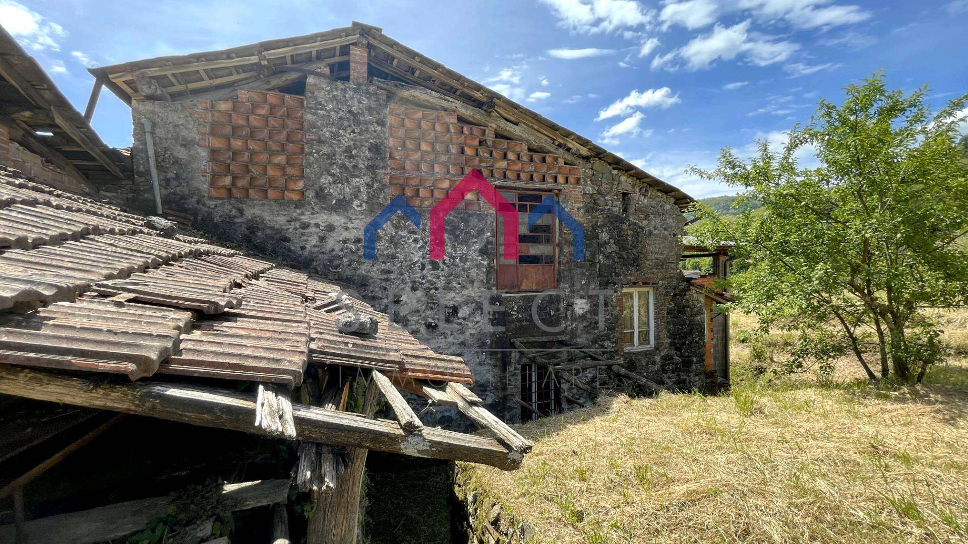  - foto 51