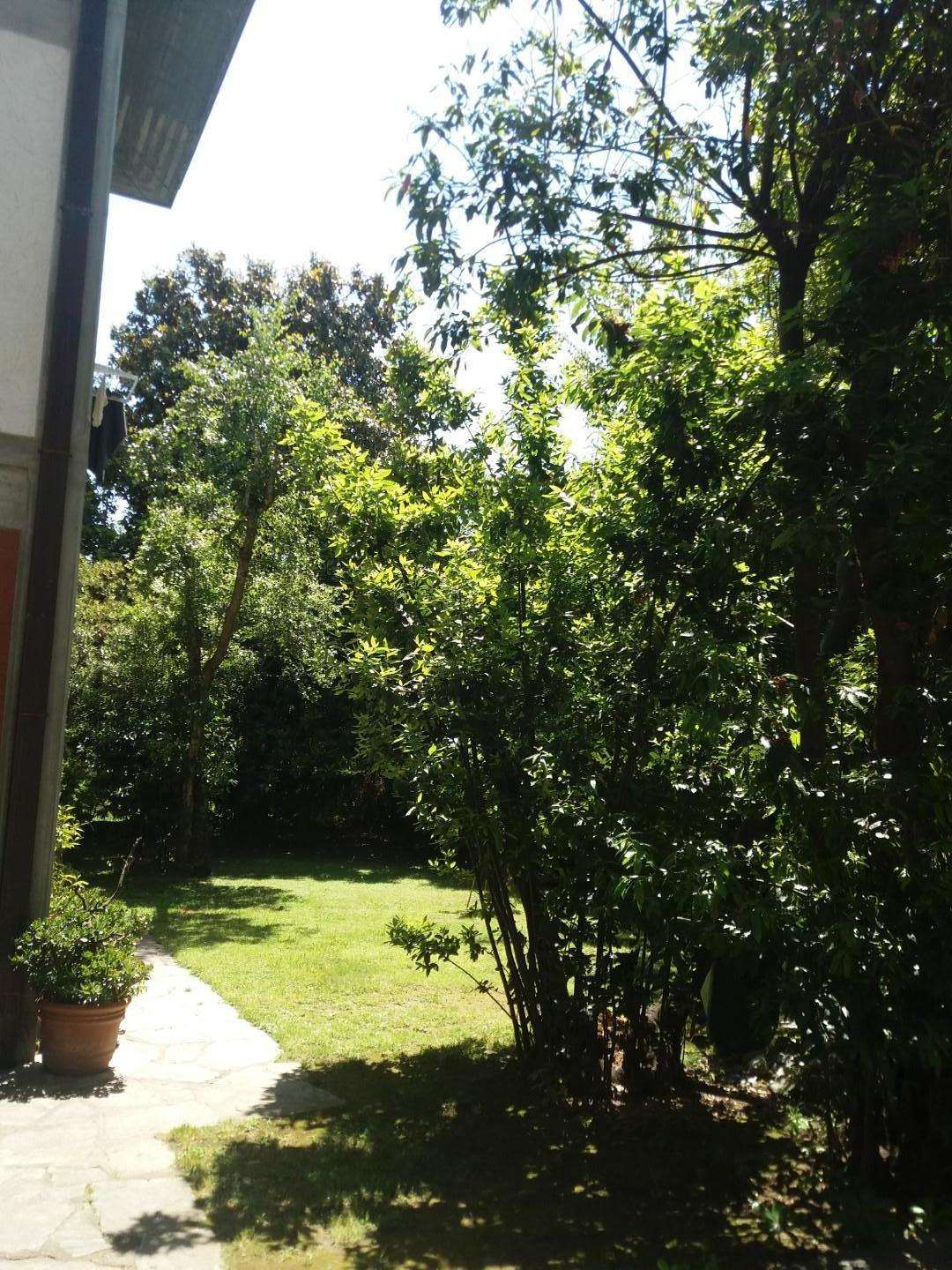  - foto 14