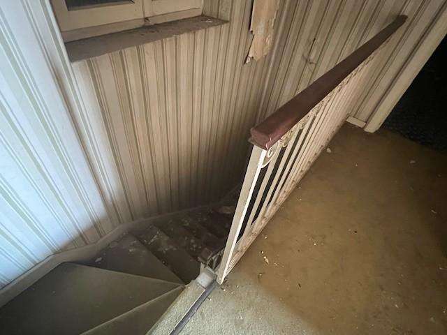  - foto 40