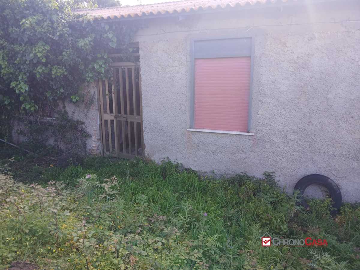  - foto 5
