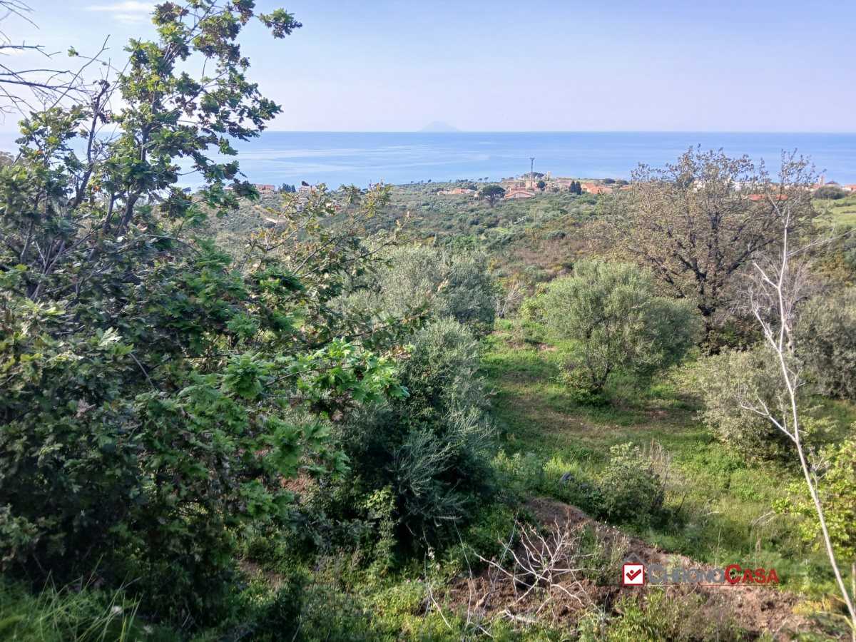  - foto 8