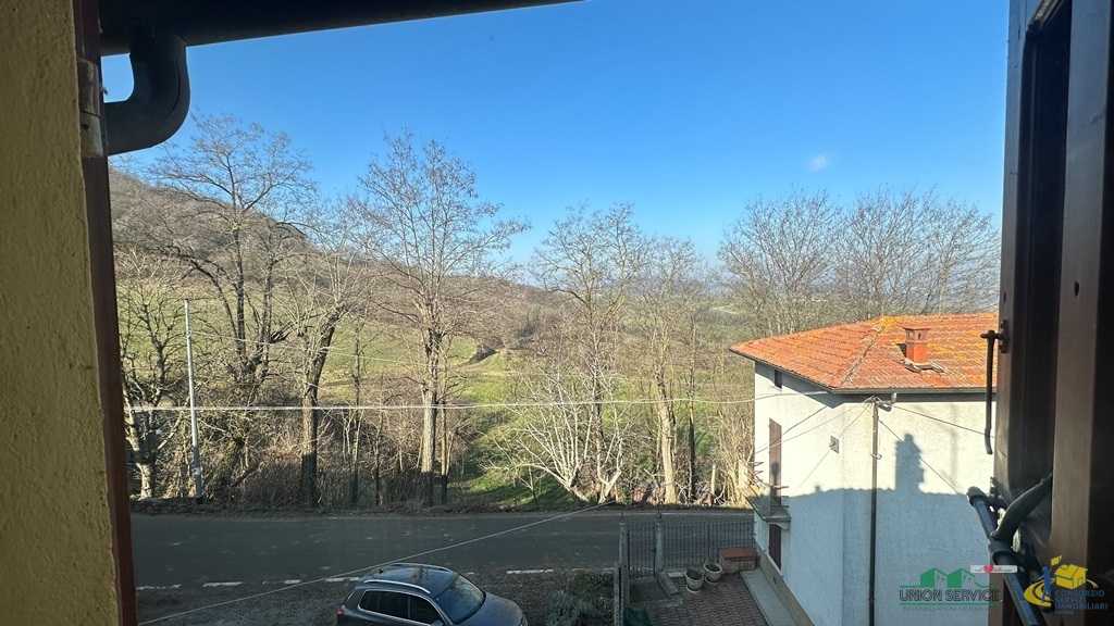  - foto 12