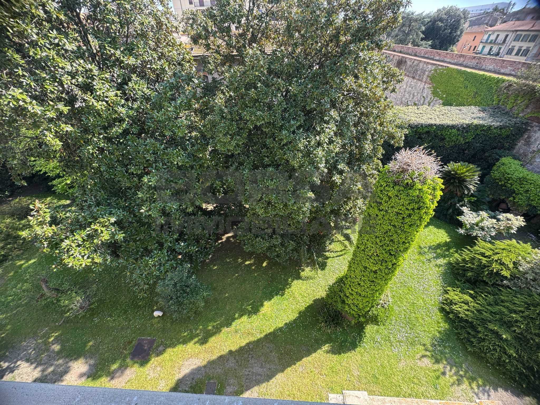  - foto 17