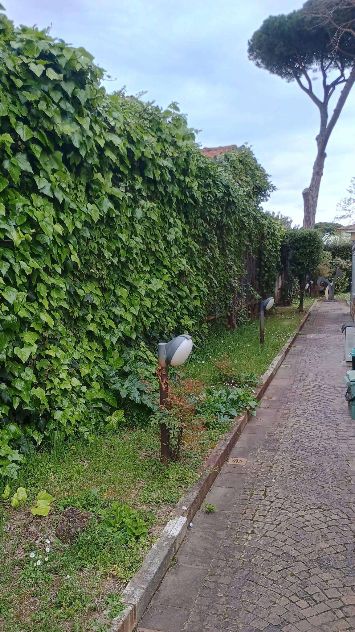  - foto 62