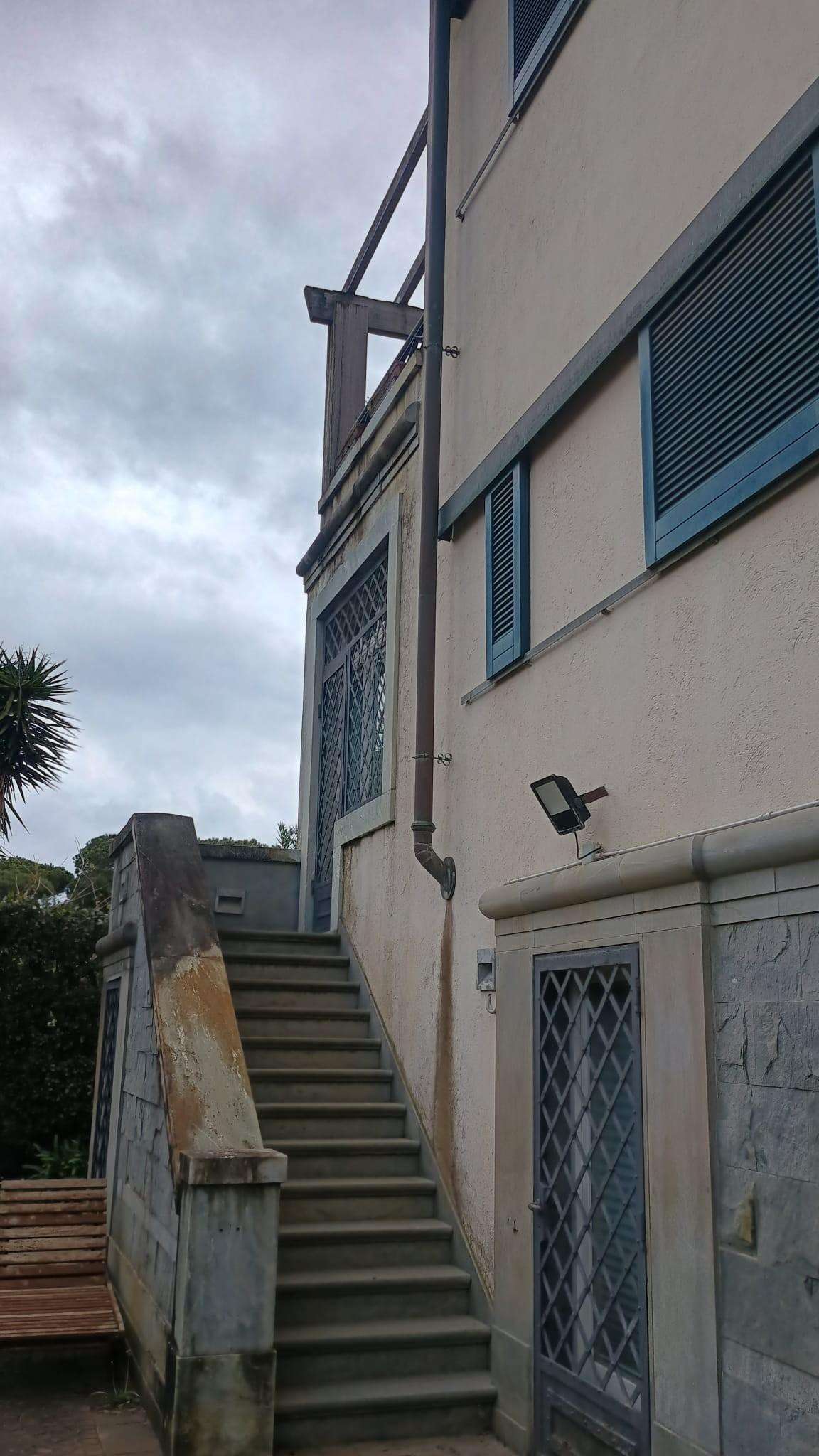  - foto 66