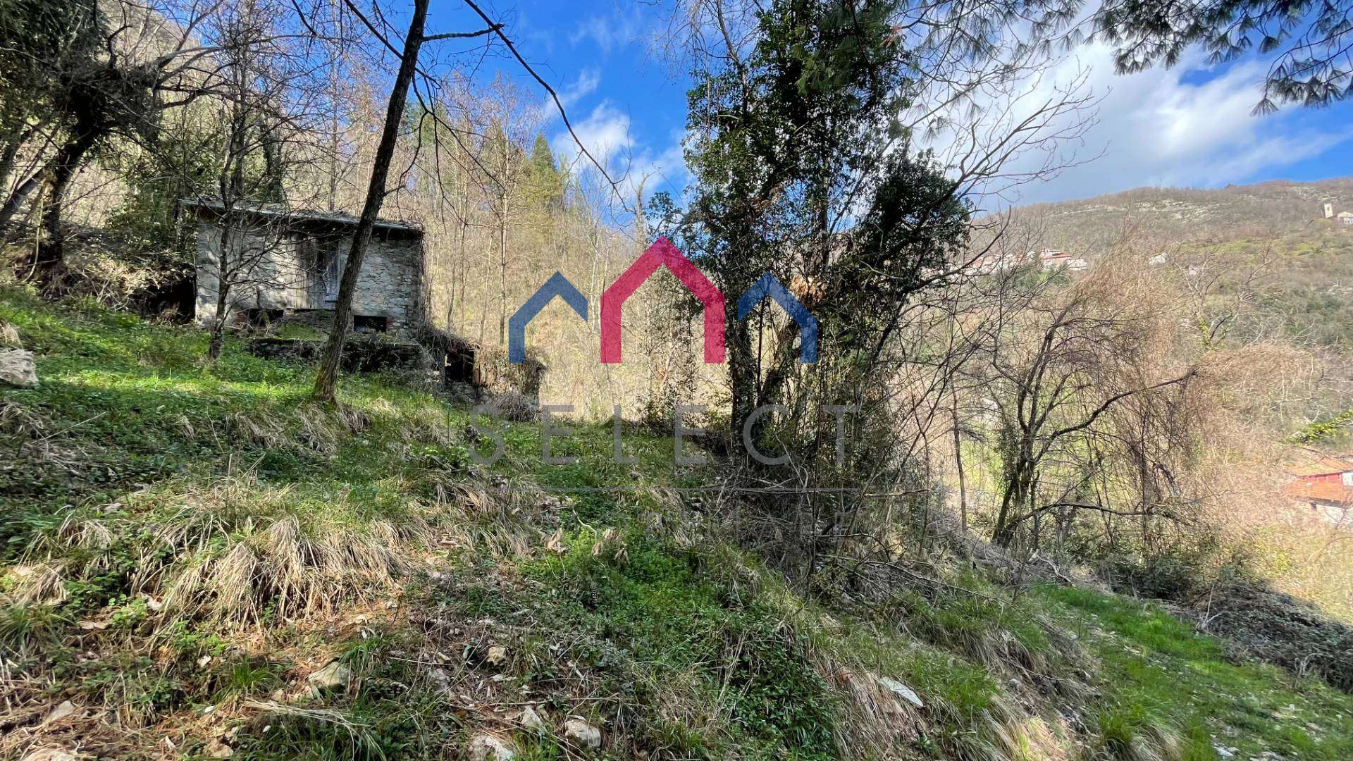  - foto 11