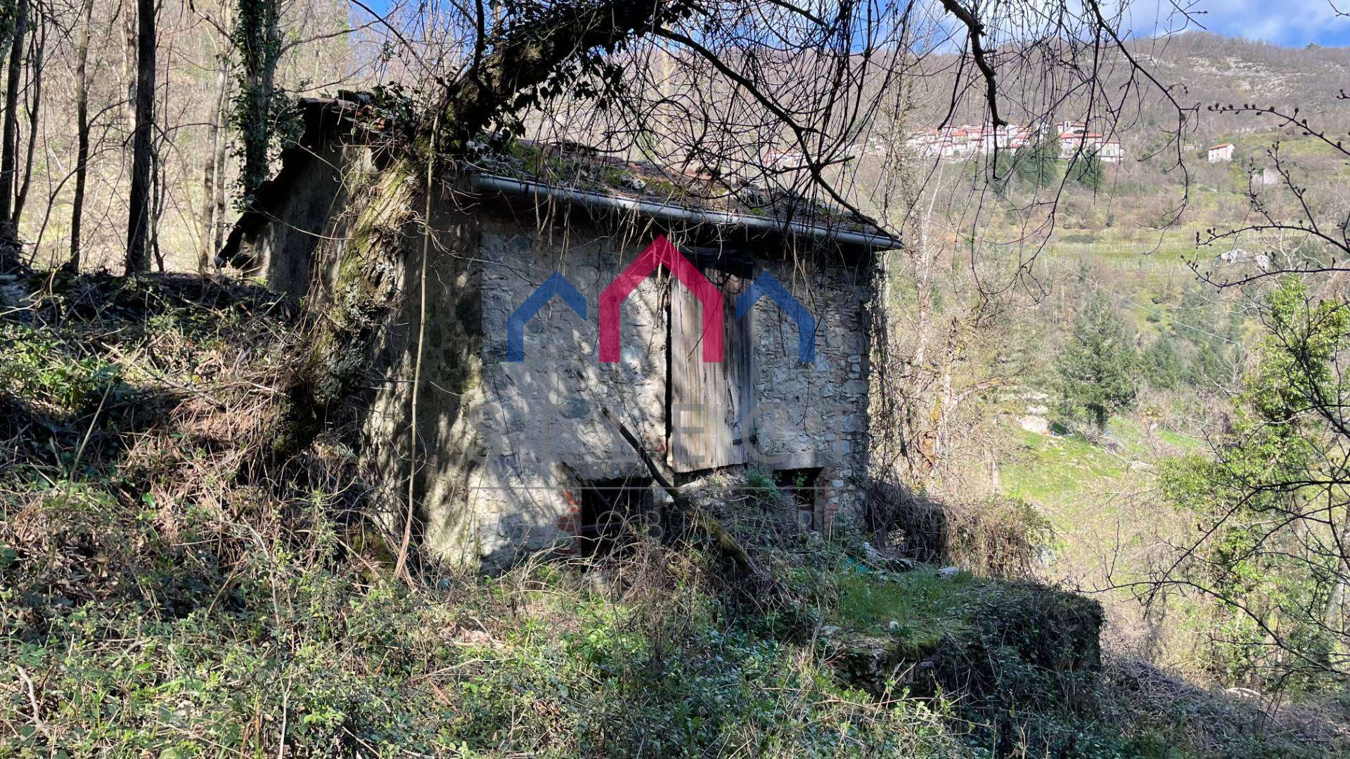  - foto 12