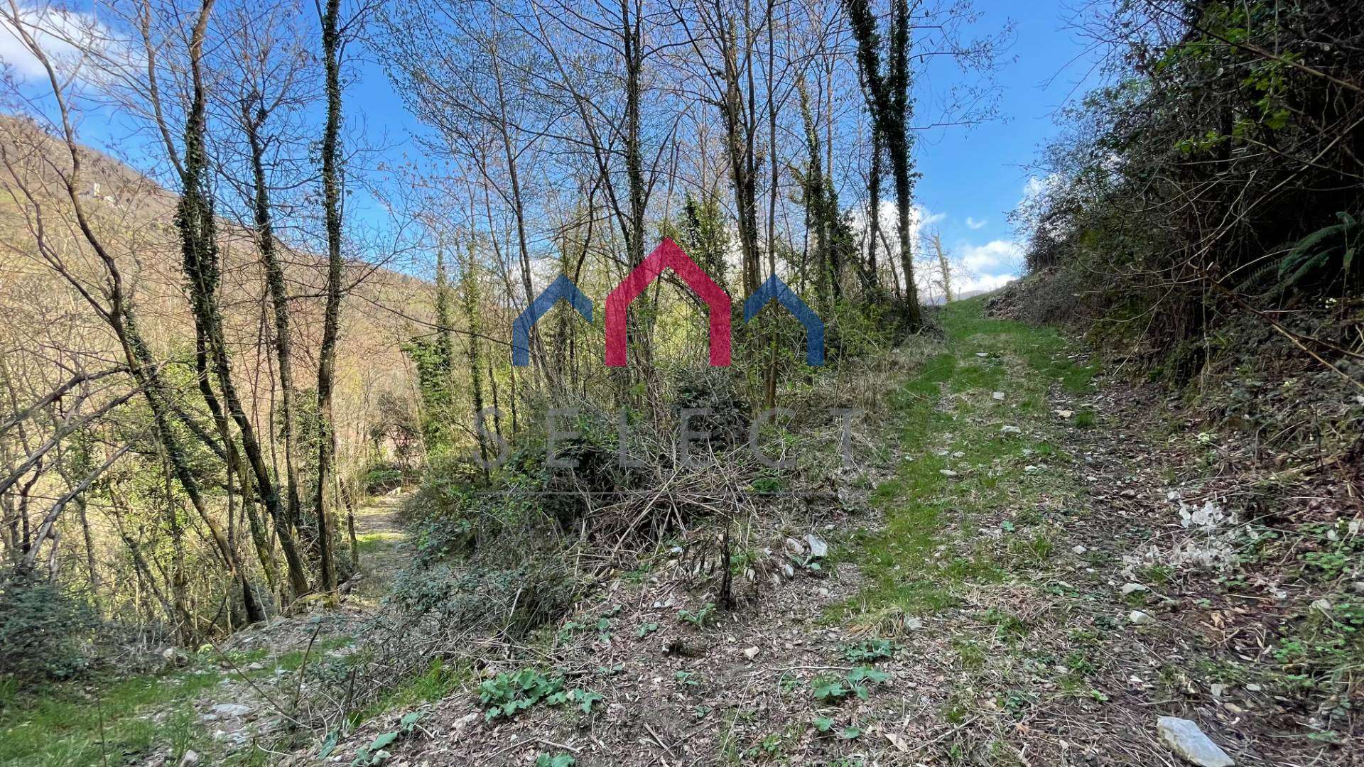  - foto 4