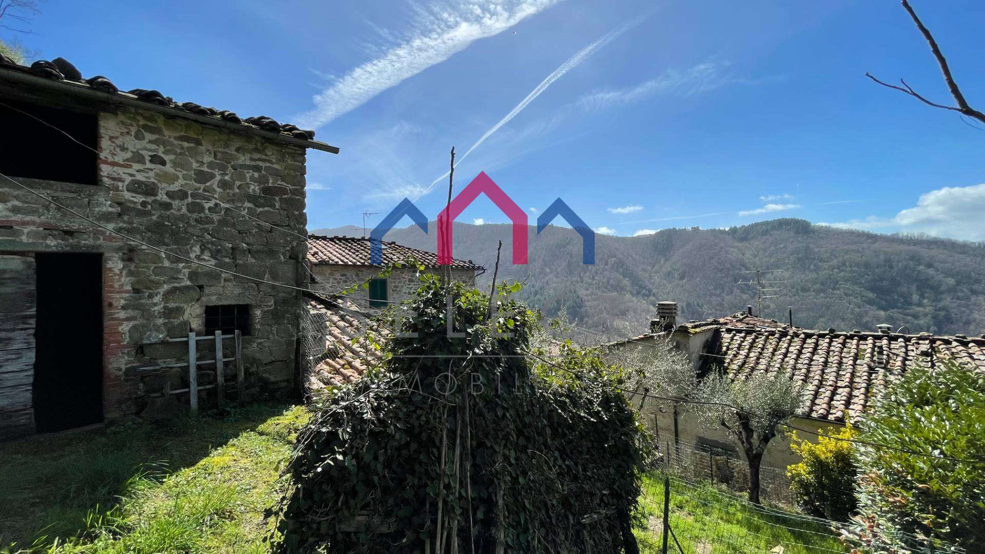  - foto 41