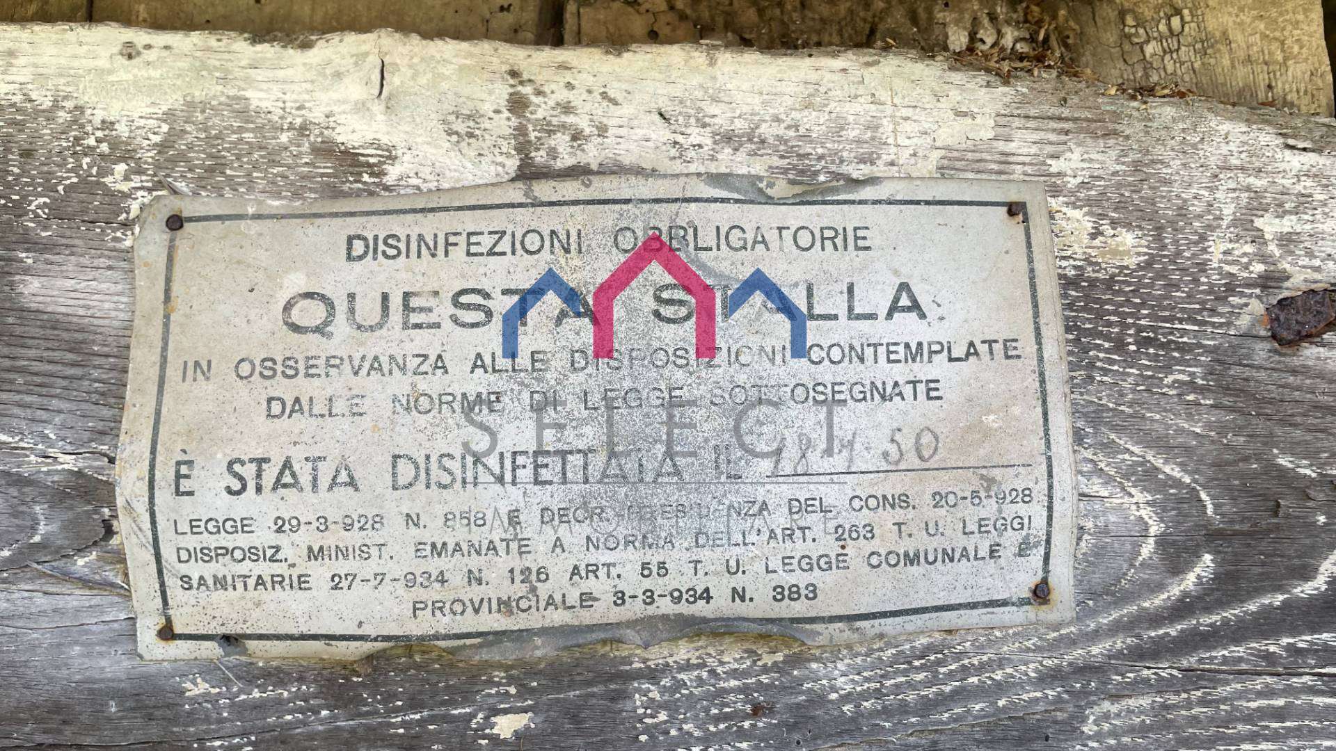  - foto 45