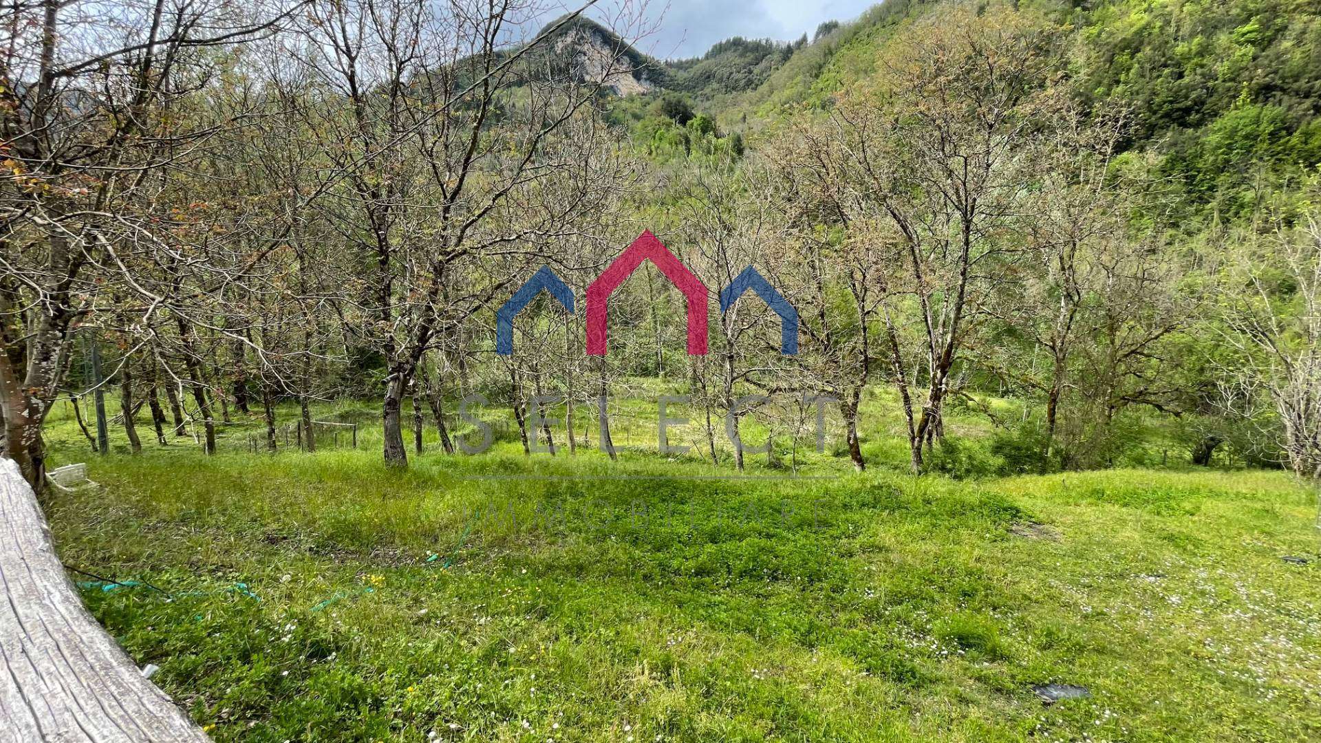  - foto 44