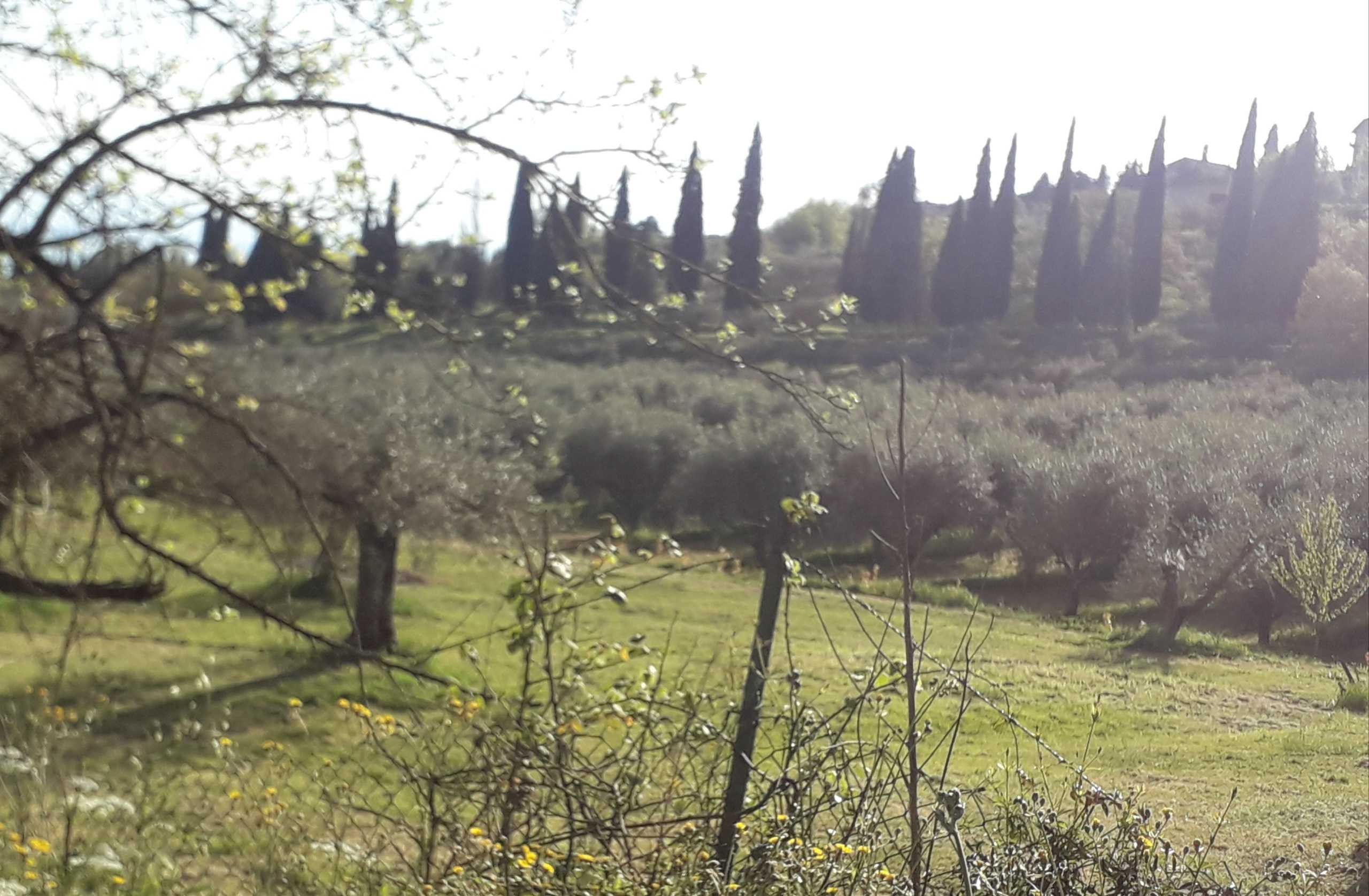immagine annuncio 4 di 14