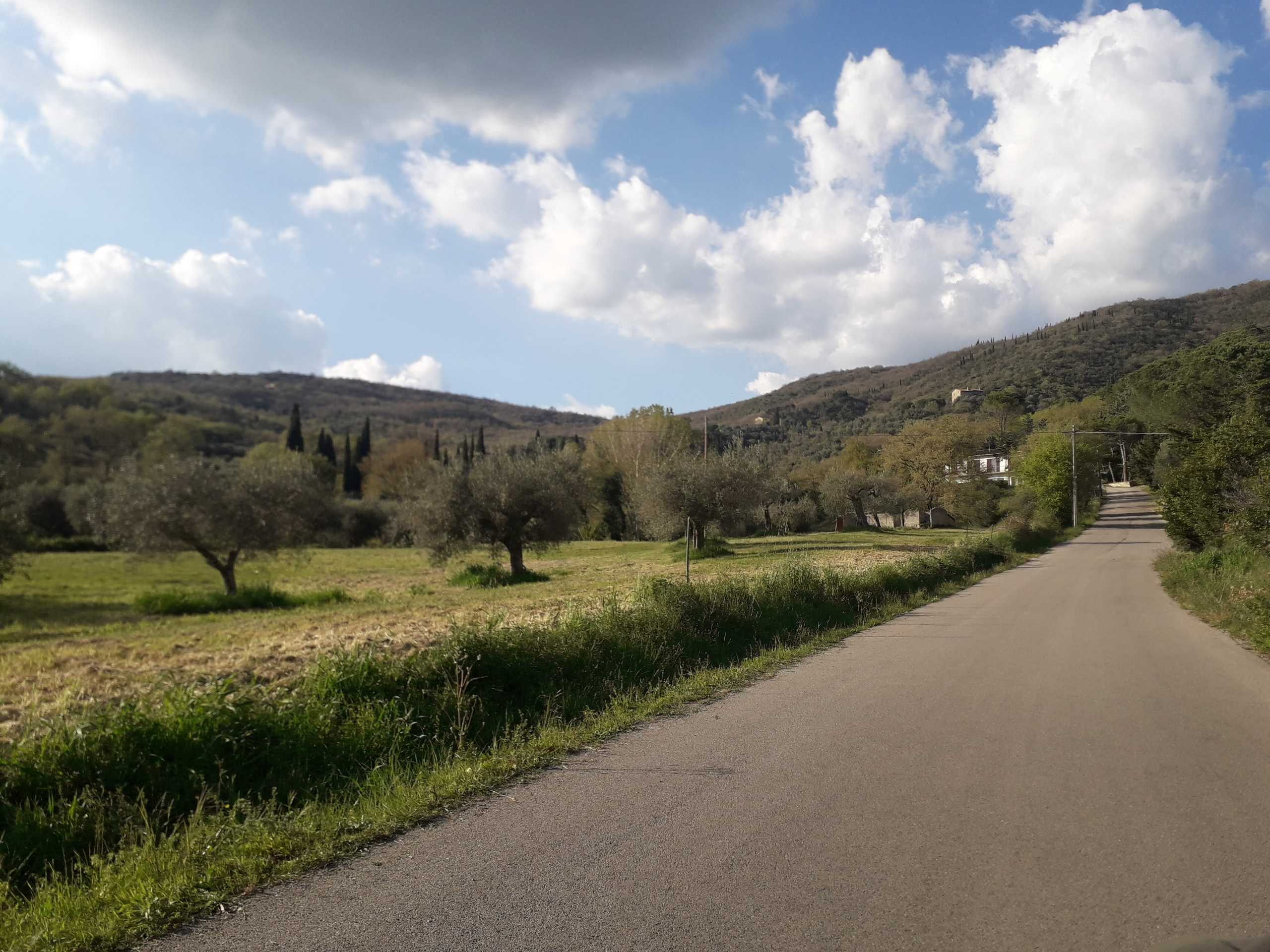 immagine annuncio 9 di 14