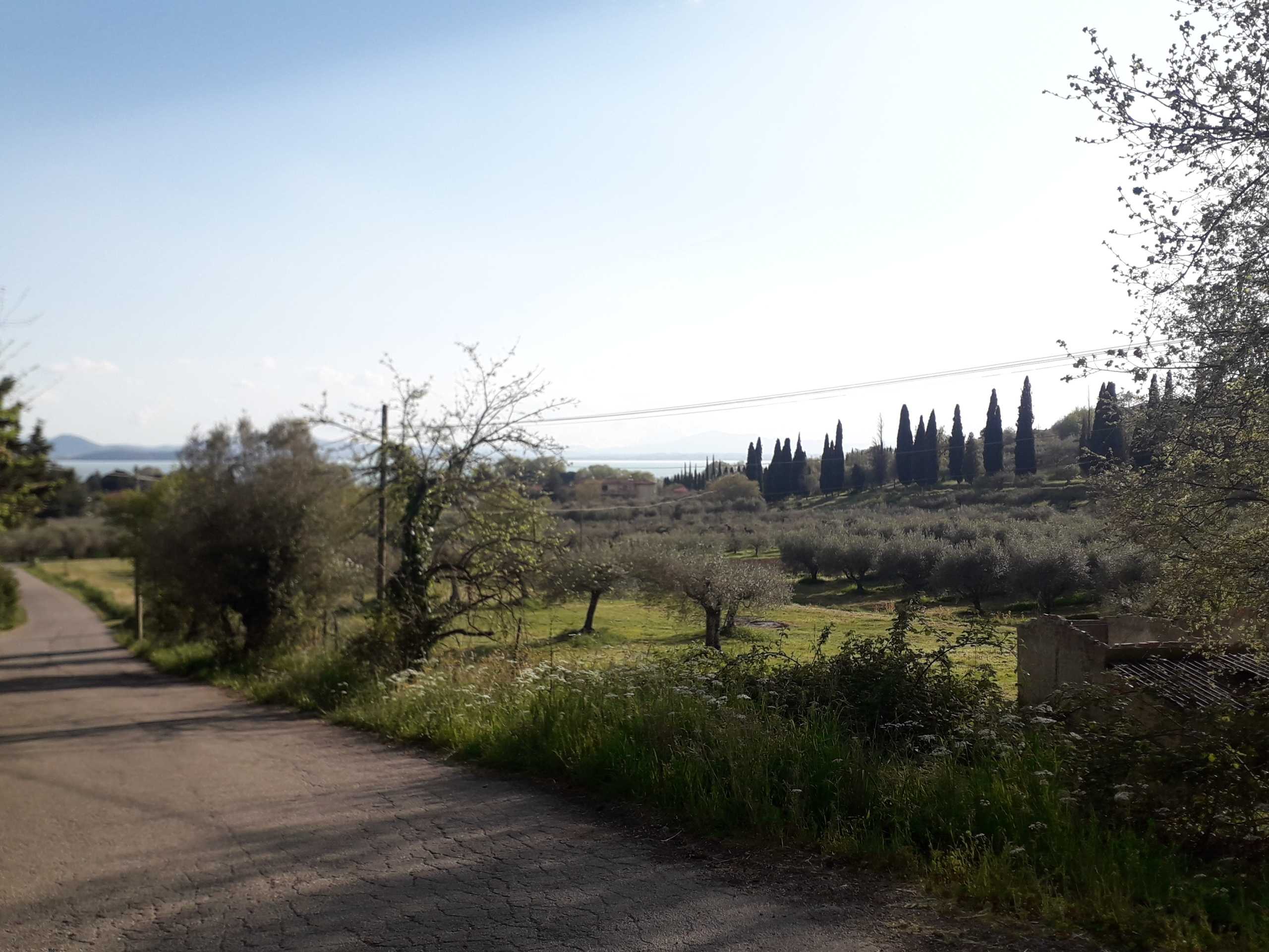 immagine annuncio 11 di 14