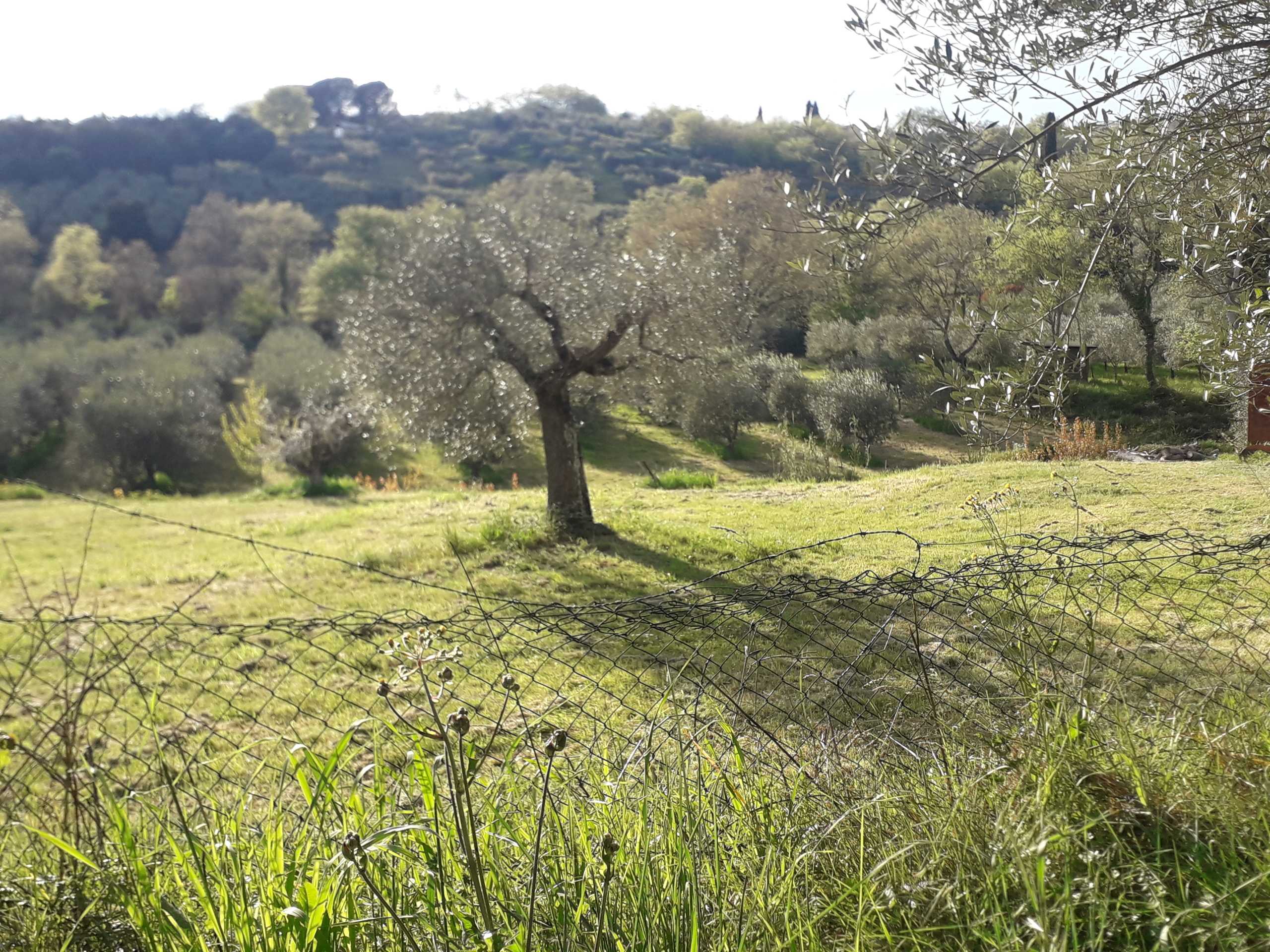 immagine annuncio 13 di 14