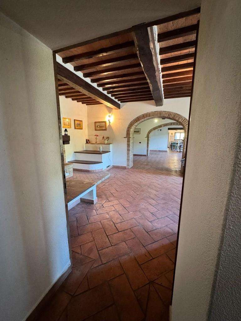  - foto 13