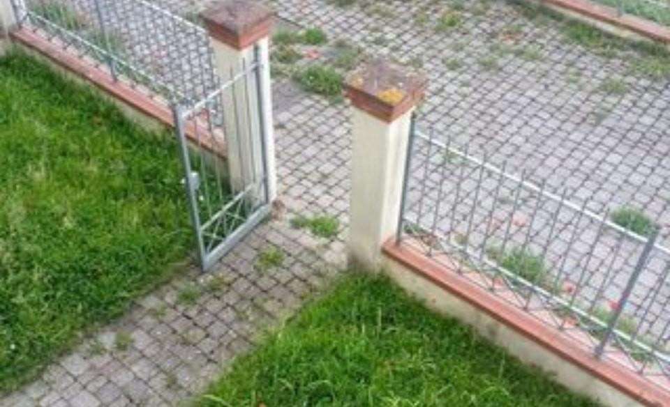  - foto 8