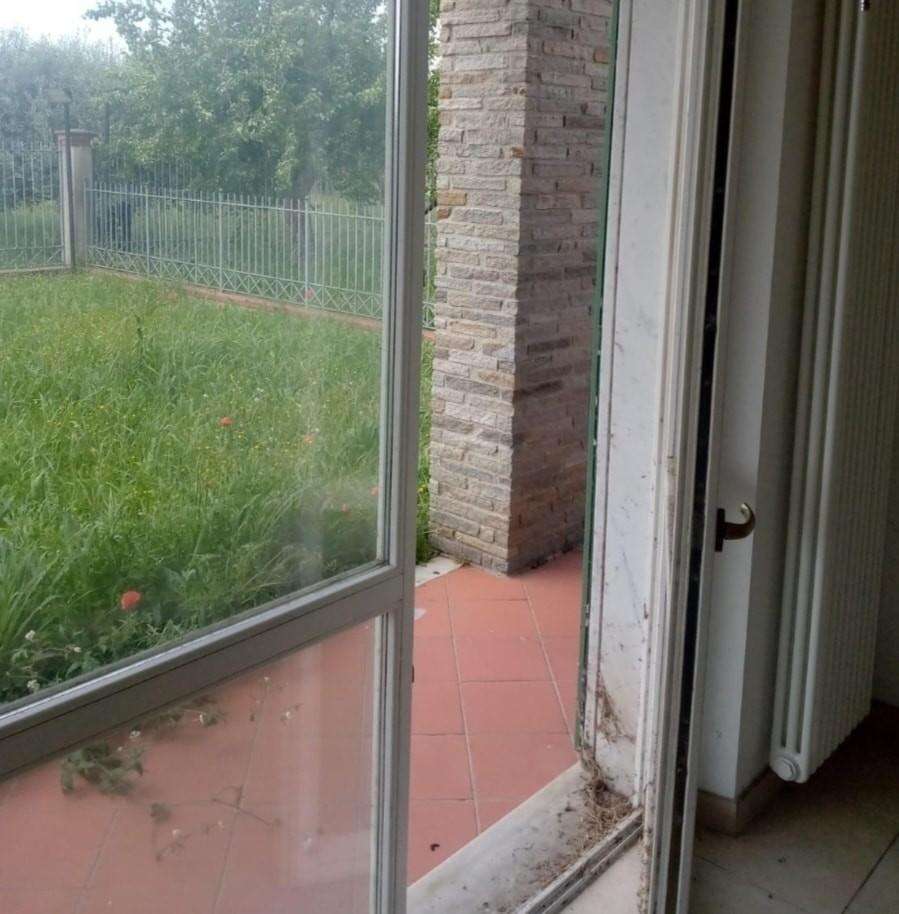  - foto 9