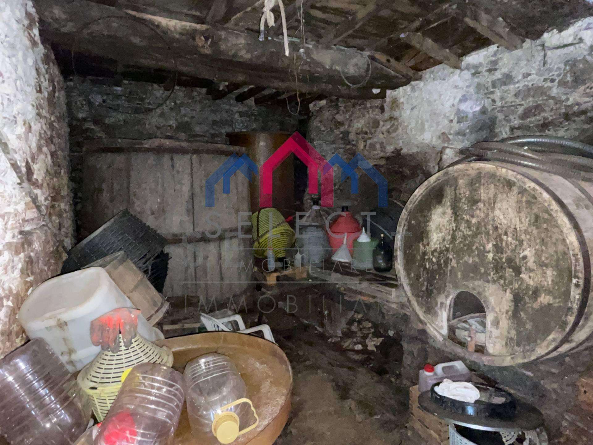  - foto 13