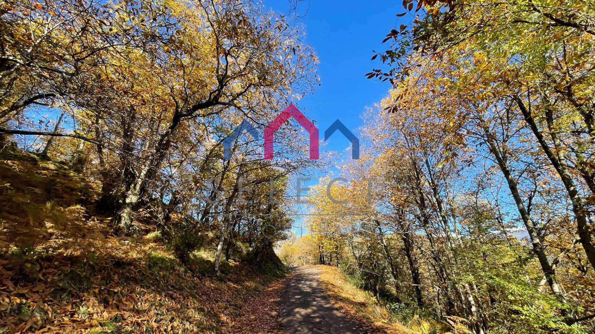  - foto 40