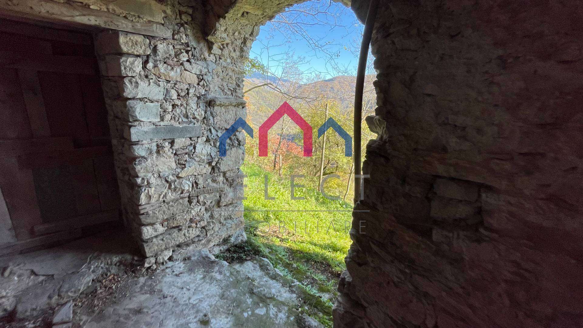  - foto 49