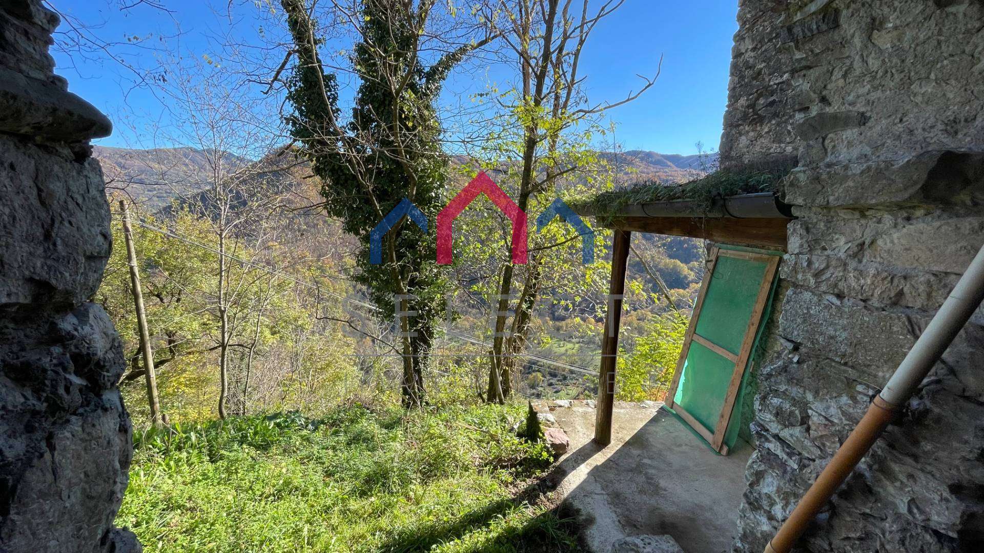  - foto 50