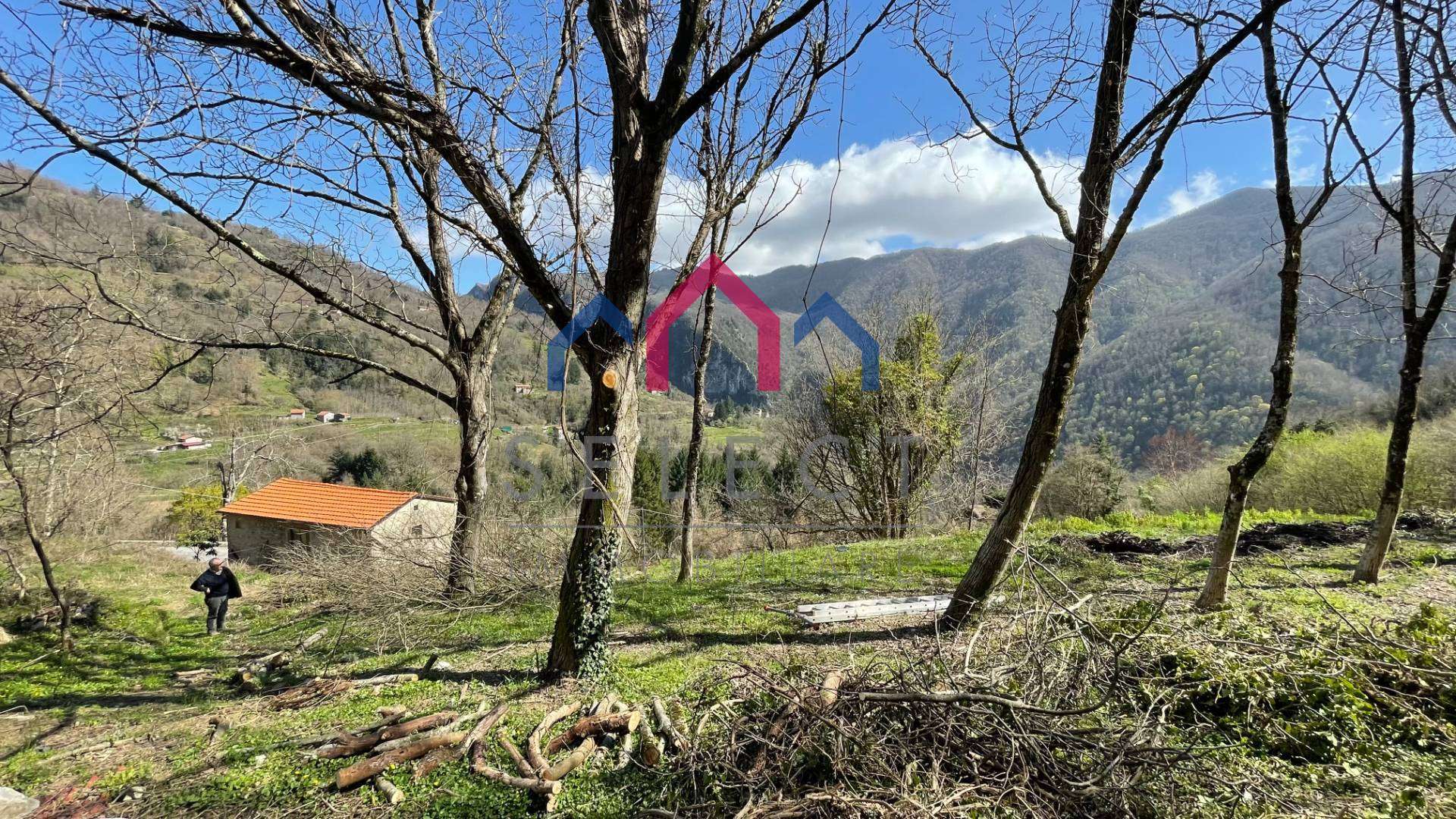  - foto 38