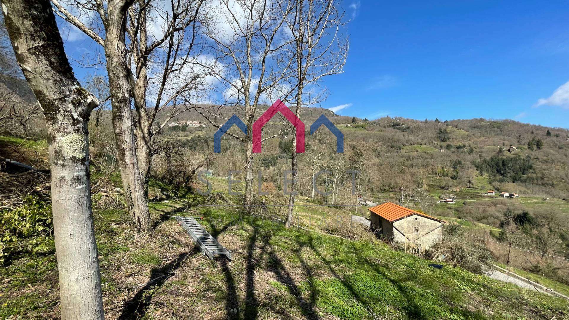  - foto 42