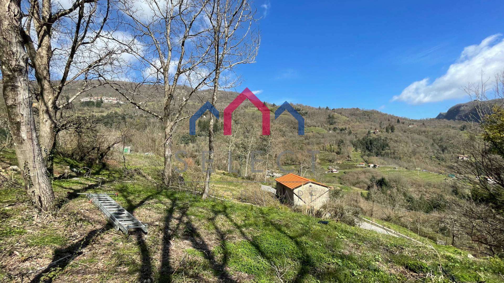  - foto 43