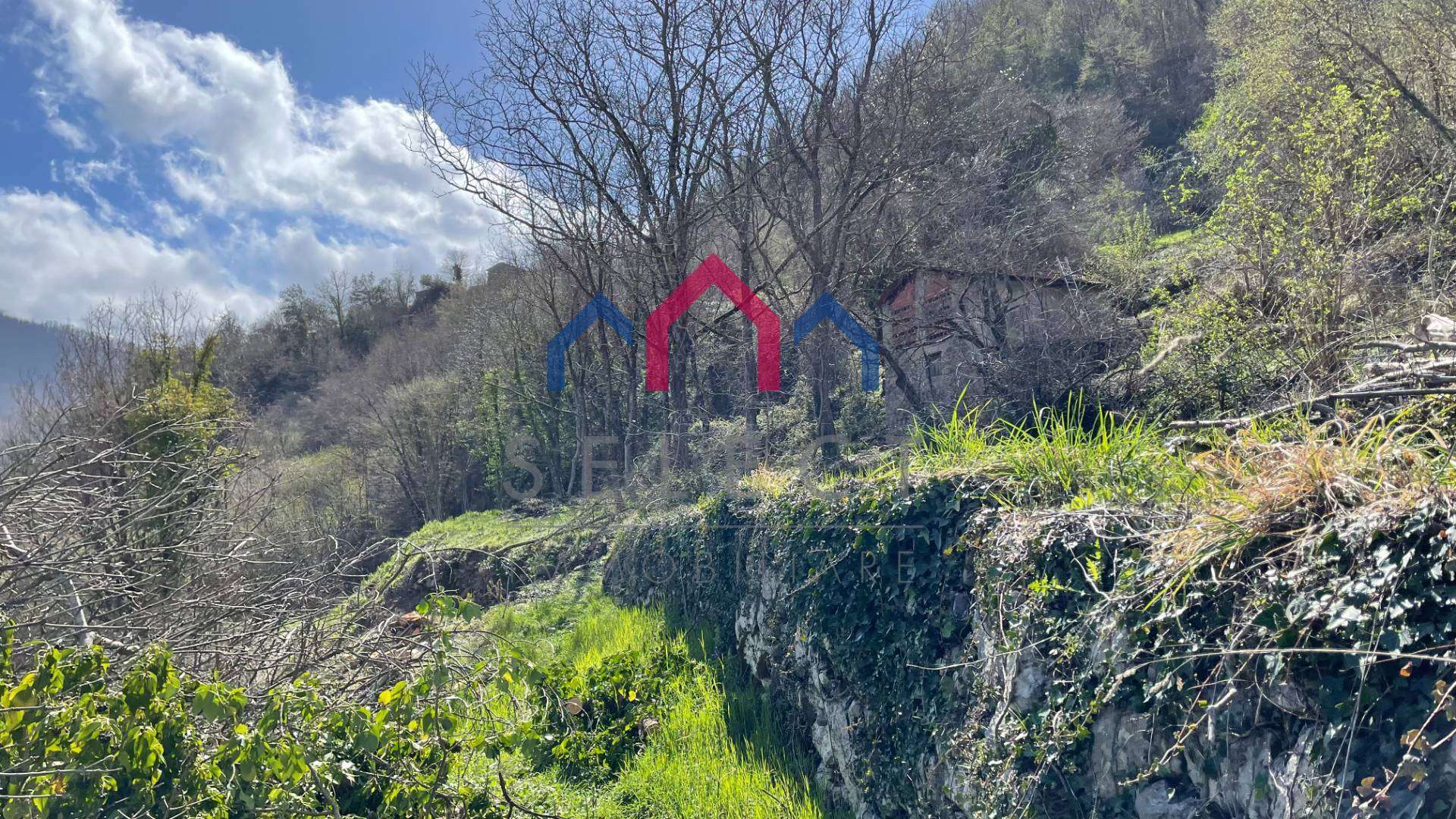  - foto 6