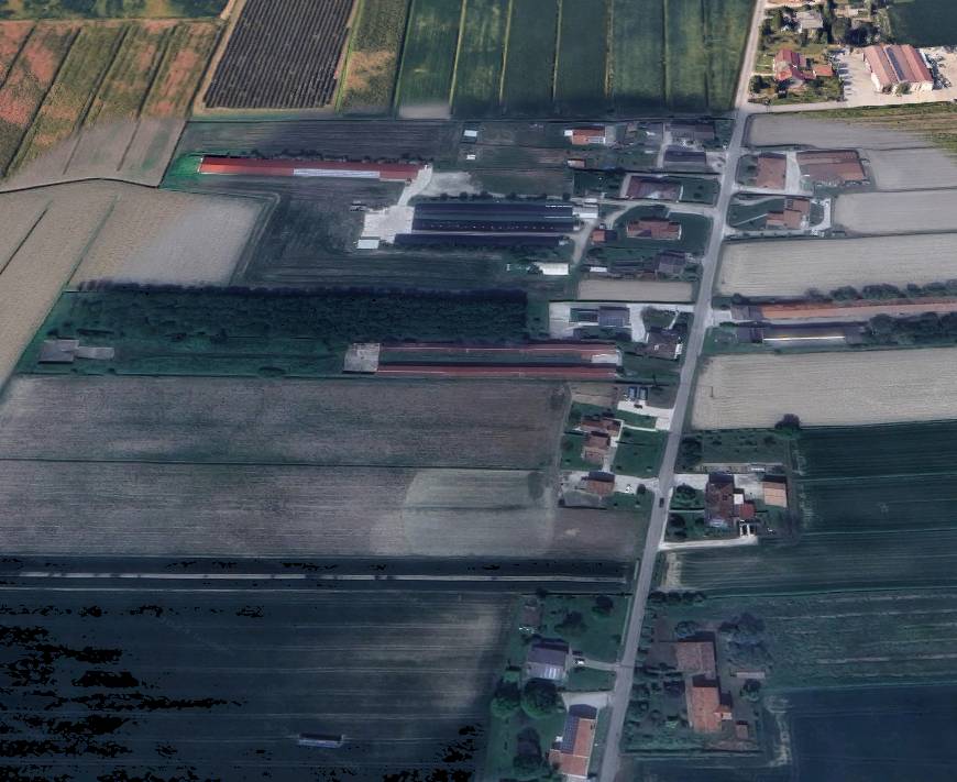 immagine annuncio 1 di 10