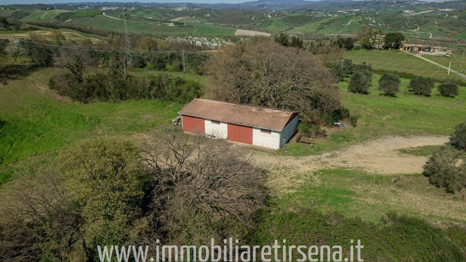 immagine annuncio 3 di 9