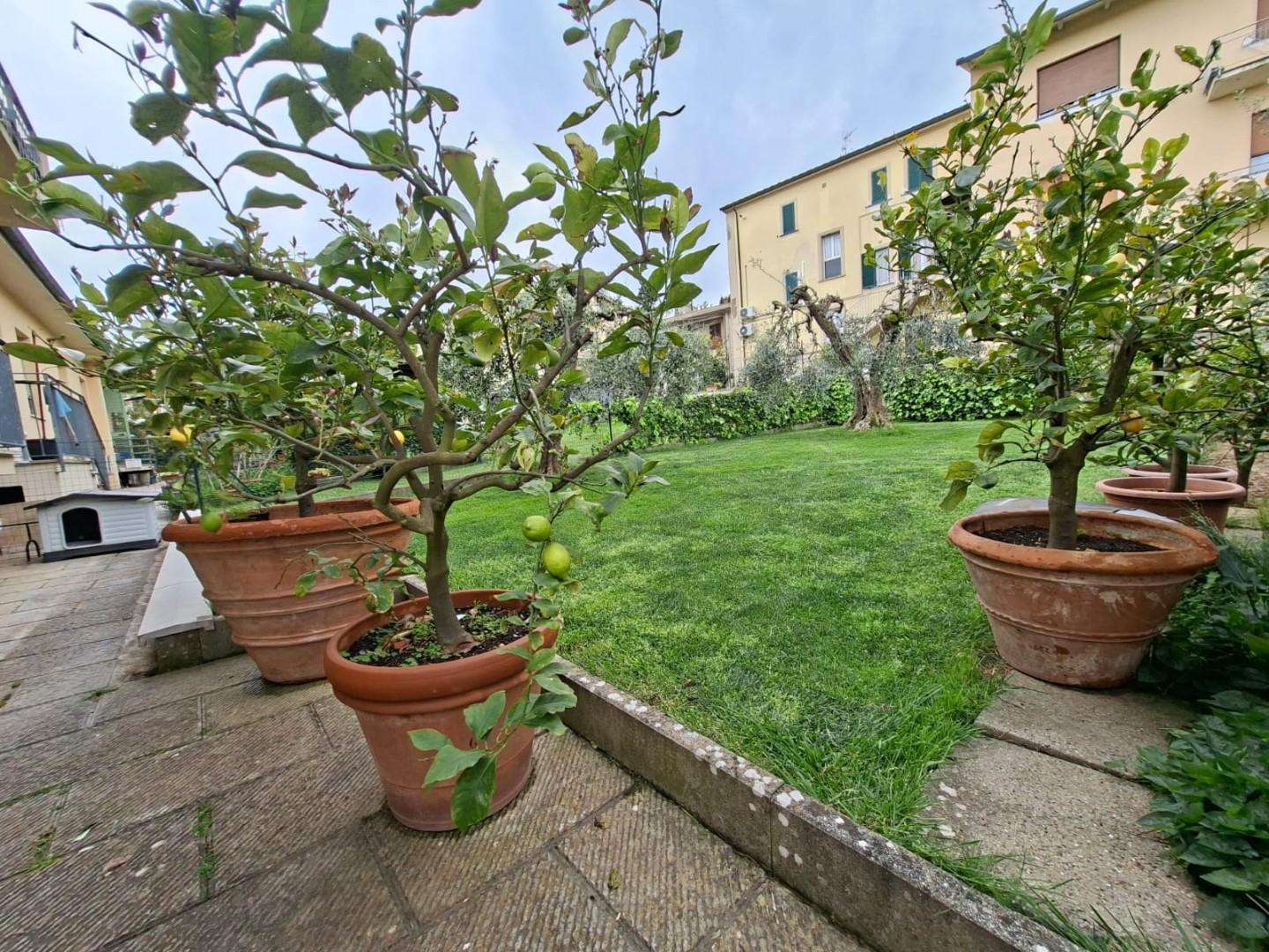  - foto 37