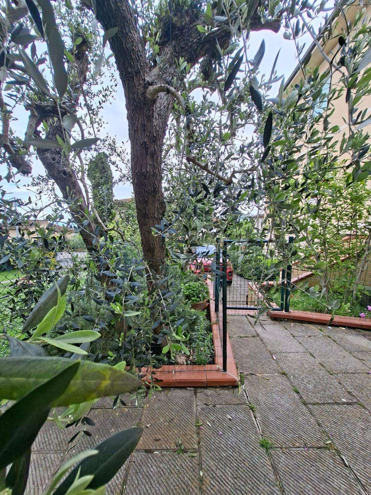  - foto 39