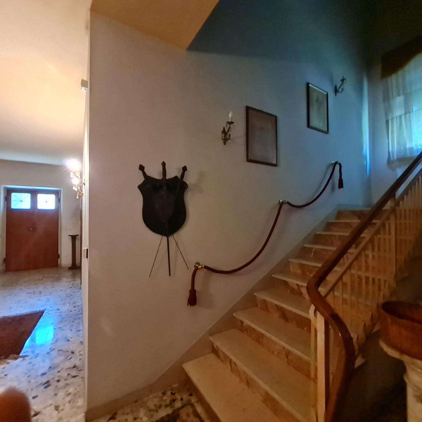  - foto 13