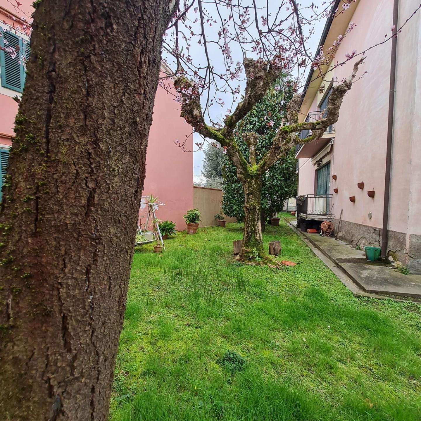  - foto 54