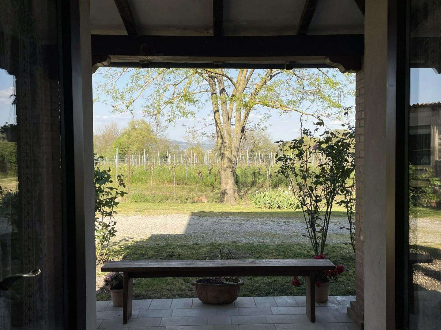  - foto 11