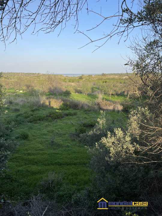  - foto 6