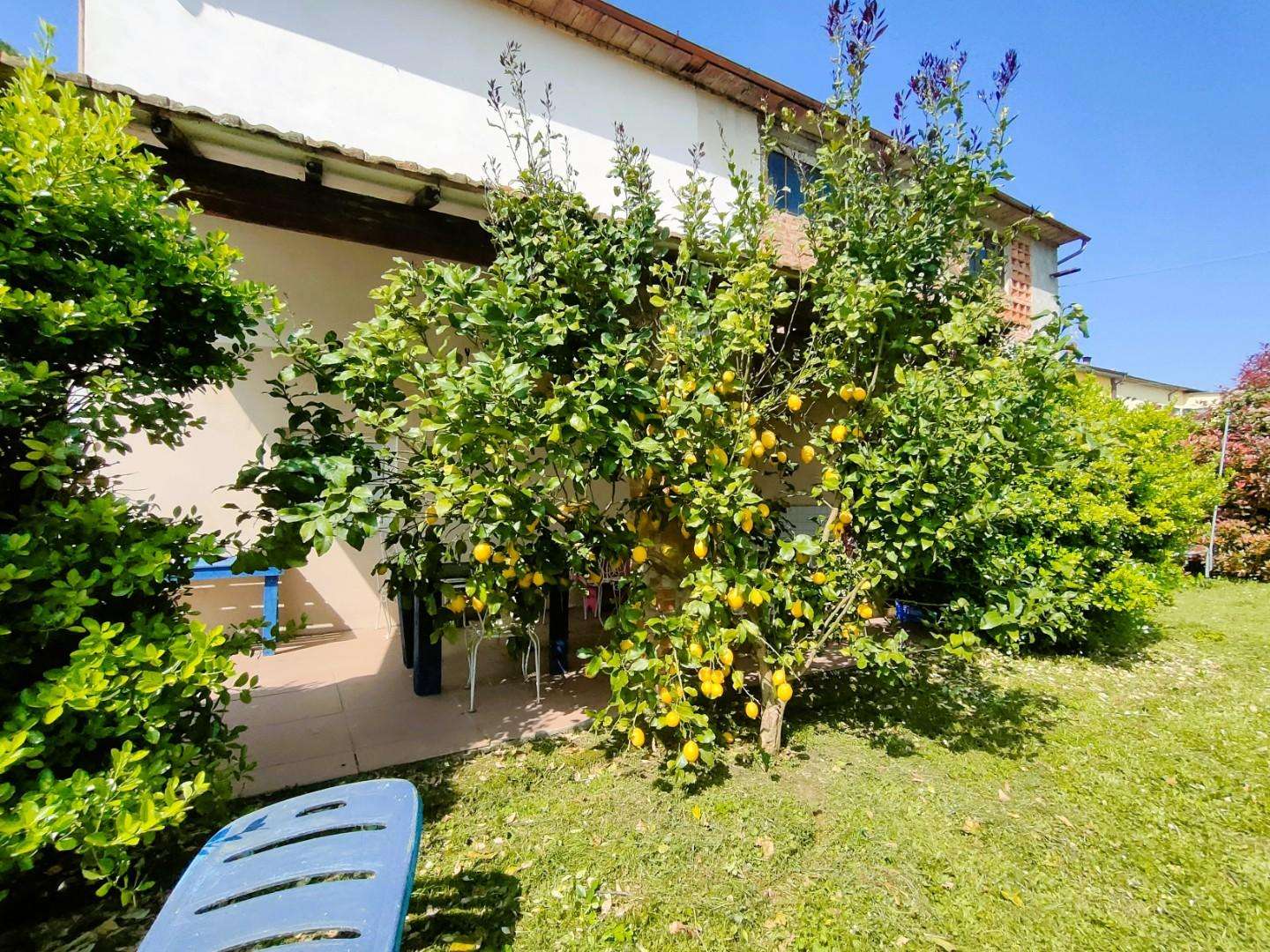  - foto 35