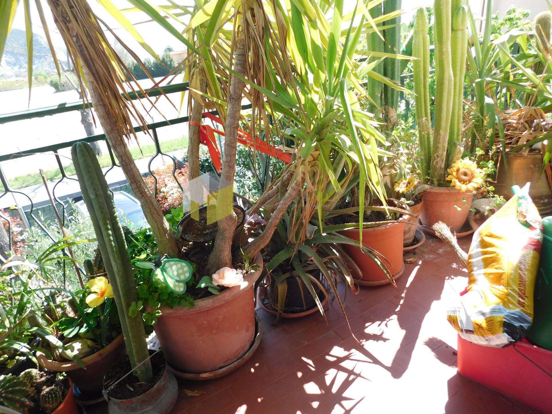  - foto 27