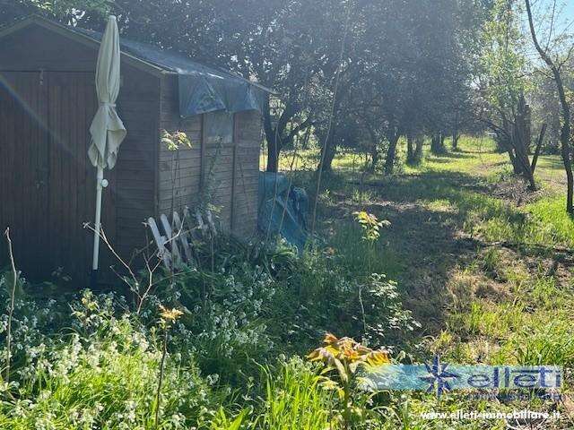  - foto 24