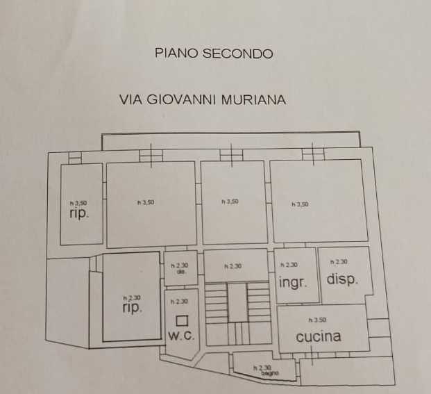 immagine annuncio 5 di 14