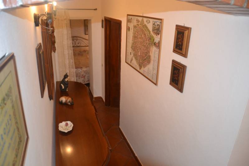  - foto 11